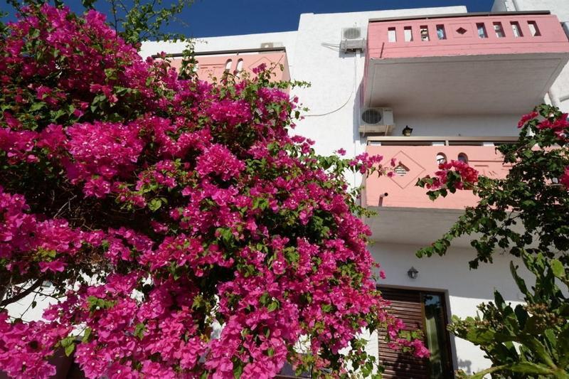 Apokoros Craft Deco Apartments&Studios Kalyves Dış mekan fotoğraf